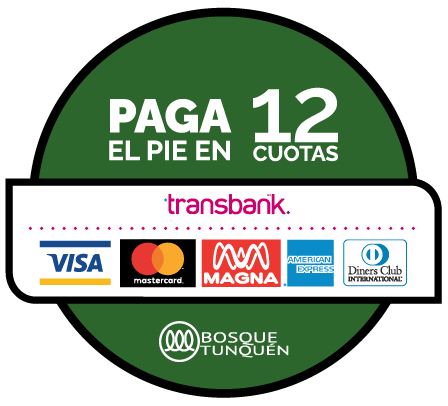 Paga en 12 cuotas